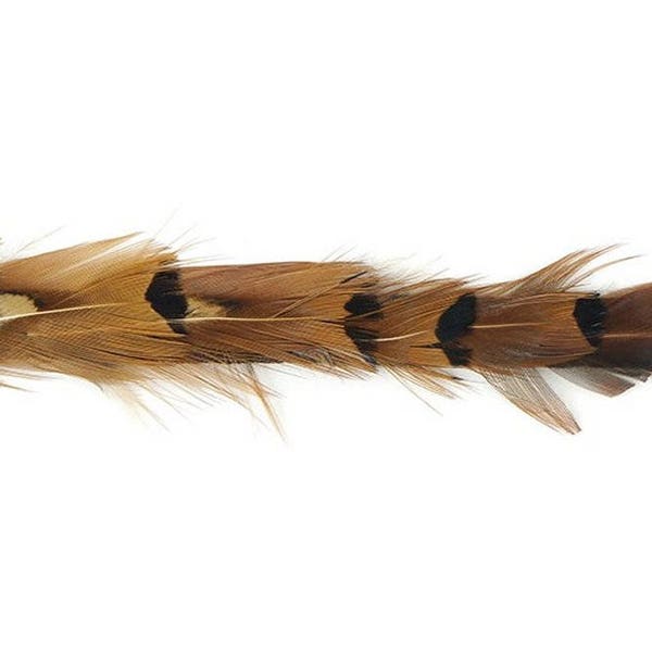 Narrow Pheasant Feather Hatband #1 - Pheasant Feathers Tape - Decor