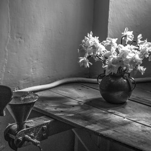 Samsung Frame TV Art of Daffodil Flowers | 4k Black and White Flower Photograph - Digital Wall Art | © Wayne Heim - K4 Studios