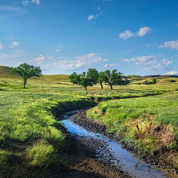 Samsung Frame TV Photo | Meandering Stream | 4K Photograph of green field and stream - Art for TV Computer Wallpaper | K4 Studios