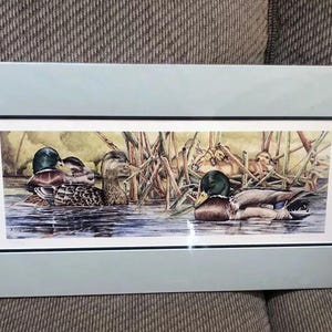 May include: A framed watercolor painting of a group of ducks swimming in a pond. The ducks are brown and green with yellow beaks. The painting is set against a background of green reeds and water.