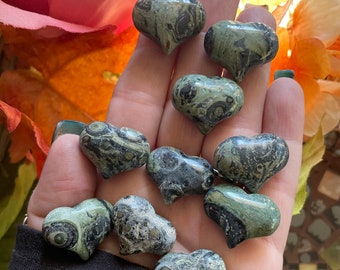 Kambaba Jasper Heart, Qty. 1 MINI Kambaba Heart