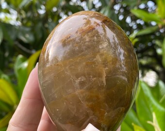 May include: A polished, oval-shaped gemstone with a warm, earthy color palette of browns and tans. The stone has a smooth, reflective surface, and is held in a hand against a backdrop of green foliage.