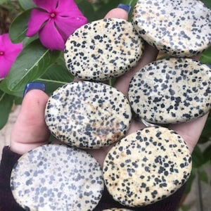 Dalmatian Jasper, Dalmatian Stone, Dalmatian Palm Stone, 1 Qty.