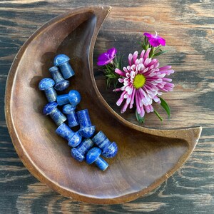 Lapis Lazuli, Lapis Mushroom, Qty. 1 MINI Mushroom