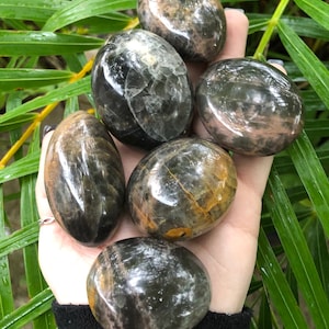 Black Moonstone, Black Moonstone Palm Stone, Qty. 1