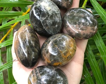 Black Moonstone, Black Moonstone Palm Stone, Qty. 1