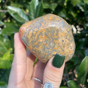 Leopardskin Jasper, Leopardskin Jasper Power Stone, Qty. 1
