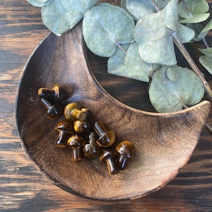 Tigers Eye, Tigers Eye Mushroom, Qty. 1 MINI Mushroom