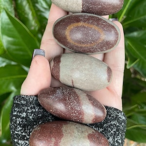 Shiva Lingam, Shiva Lingam Stone, Qty. 1