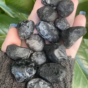 Apache Tear, Apache Tear Obsidian, Qty. 1, Raw