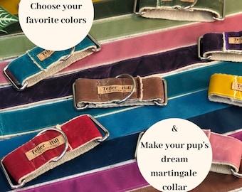 Colorful Dog Collar, Waxed Canvas, Martingale Dog Collar, Color Block Martingale, Custom Martingale