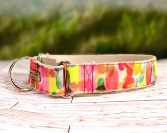 Watercolor Rainbow Dog Collar on hemp webbing, Eco-Friendly Dog Collar, Pride Dog Collar