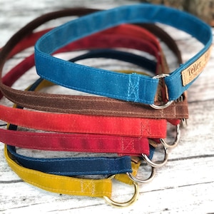 House Collar, Waxed Canvas, Greyhound Tag Collar, Sighthound Collar, Flat Dog Collar, Tagless Dog Collar, Dog ID