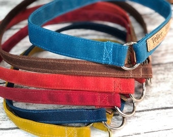 House Collar, Waxed Canvas, Greyhound Tag Collar, Sighthound Collar, Flat Dog Collar, Tagless Dog Collar, Dog ID