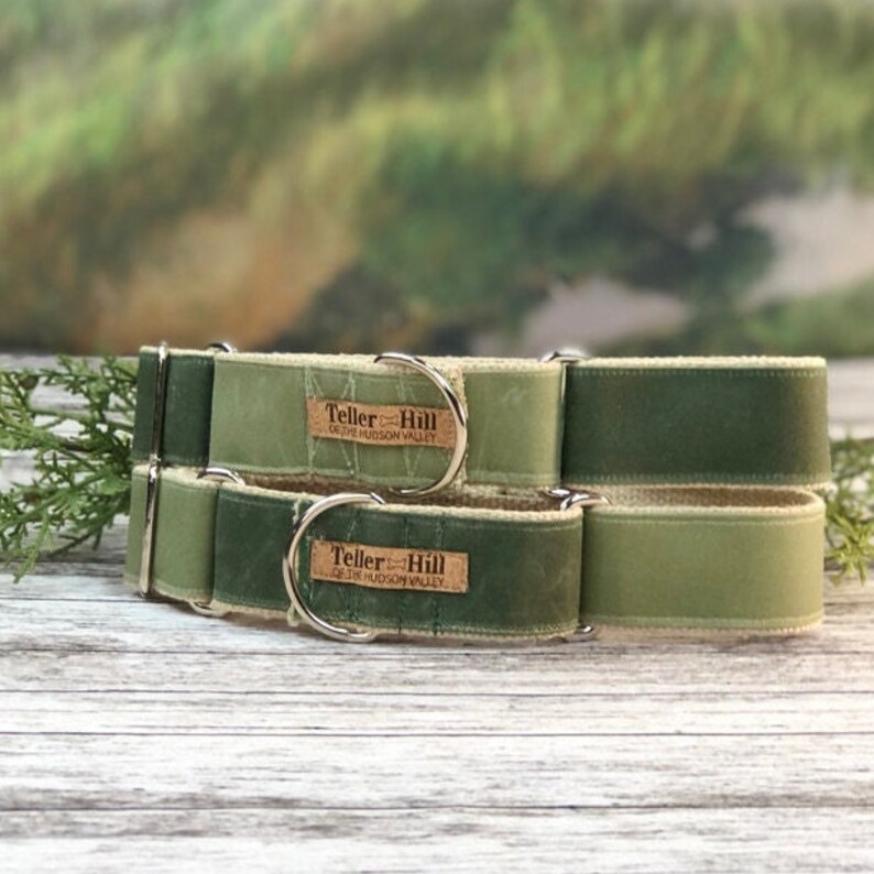 Colorful Dog Collar Waxed Canvas Martingale Dog Collar Etsy