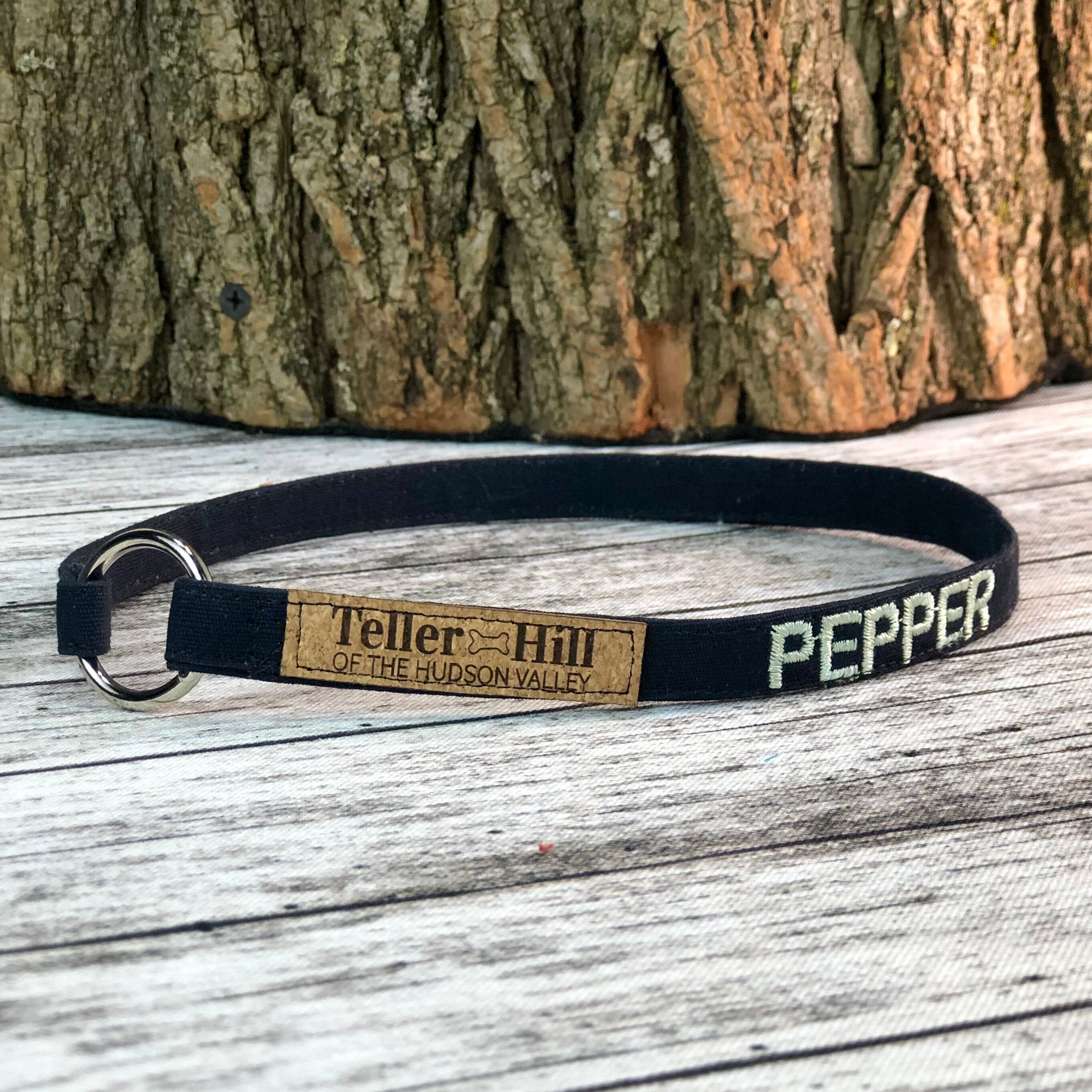 House Collar Canvas Greyhound Tag Collar Sighthound Collar Etsy