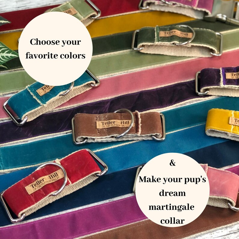 Colorful Dog Collar Waxed Canvas Martingale Dog Collar Etsy