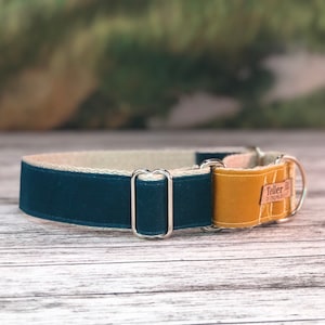 Marine Blue and Yellow martingale, color blocked, canvas, vegan dog collar