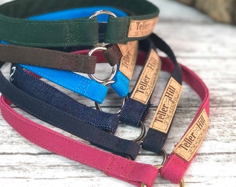 House Collar, Canvas, Greyhound Tag Collar, Sighthound Collar, Flat Dog Collar, Denim Canvas, Tagless collar