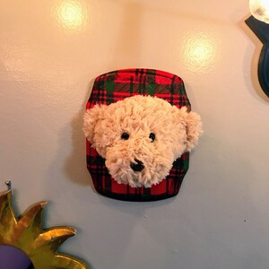 Könnte beinhalten: Ein Plüsch-Teddybärkopf, der auf einem rot-grünen karierten Hintergrund montiert ist. Der Bär hat ein hellbraunes Fell und schwarze Augen.