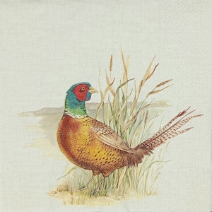 R736 # 3 Stück einzelne Papierservietten für Decoupage, Basteltücher, Wildvogel Fasan In Braunen Herbst Gras Auf Beiger Leinwand