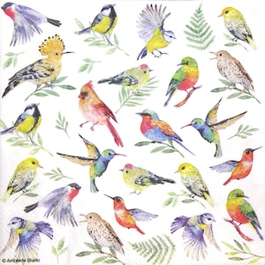 M717 # 3 Stück einzelne Papierservietten für Decoupage, Taschentuch, Frühling Mini Vögel Blätter Muster