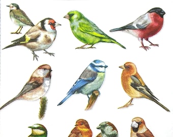 M718# 3 Pieces Of Single Paper Napkins for Decoupage, Craft Tissue, Various Birds Pattern