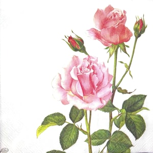 M306# 3 pedaços de guardanapos de papel individuais para decoupage, tecido artesanal, duas flores de rosas cor-de-rosa em fundo branco