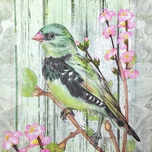 M130 # 3 Stück einzelne Papierservietten für Decoupage, Basteltücher, Großer Grüner Vogel Auf Holzuntergrund