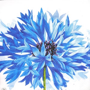 N446# 3 pezzi di tovaglioli di carta singoli per decoupage, fazzoletti artigianali, fiori bianchi blu fiordaliso