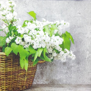 M550 # 3 serviettes en papier pour découpage, papier de soie artisanal, panier en osier fleurs lilas blancs