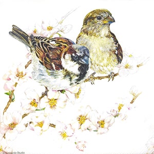 N508# 3 Pieces Of Single Paper Napkins for Decoupage, Craft Tissue, Spring Birds Sparrow  On Blooming Branch