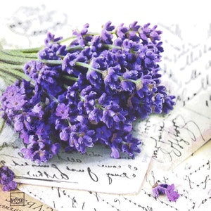 M286# 3 piezas de servilletas de papel individuales para decoupage, pañuelos artesanales, ramo de flores de lavanda morada sobre letras escritas a mano