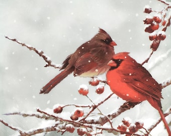 May include: Two red cardinals perched on a snow-covered branch with red berries. The birds are in a snowy winter scene.