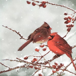 N380# 3 piezas de servilletas de papel individuales para decoupage, pañuelos artesanales, par de pájaros cardenal rojos congelados de invierno en ramas con bayas rojas