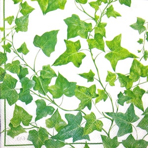 M801# 3 piezas de servilletas de papel individuales para decoupage, papel tisú artesanal, patrón de hojas verdes de hiedra trepadora sobre blanco