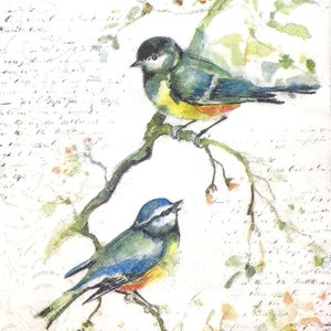 S094# 3 pezzi di PICCOLI tovaglioli di carta singoli per decoupage, veli artigianali formato cocktail, uccelli cinciallegre cinciallegre su ramo scritta su bianco