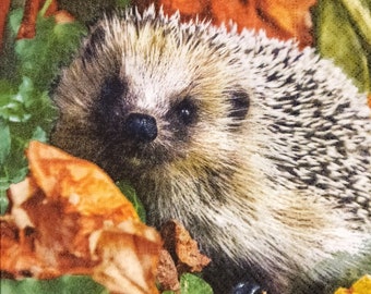 Q335 # 3 Stück einzelne Papierservietten für Decoupage, Basteltücher, Herbst Igel und Blätter Foto