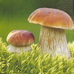Q690# 3 Pieces Of Single Paper Napkins for Decoupage, Craft Tissue, Autumn Two Boletus Mushroom On Green Grass Photo