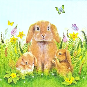 以下が含まれることがあります： 緑の草と色とりどりの野花が咲く野原にいる茶色のウサギの家族のイラスト。黄色、緑、紫の蝶がウサギの上を舞っています。このアートワークは、柔らかいパステルカラーのパレットを使用しています。