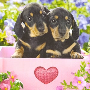 Q942 # 3 serviettes en papier pour découpage, papier de soie artisanal, paire de chiots bruns noirs dans une boîte rose avec photo en forme de coeur