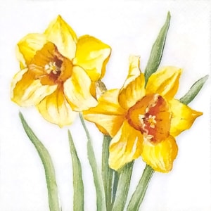 T175 # 3 Stück einzelne Papierservietten für Decoupage, Bastelpapier, gelbe Narzissenblumen auf weißem Hintergrund