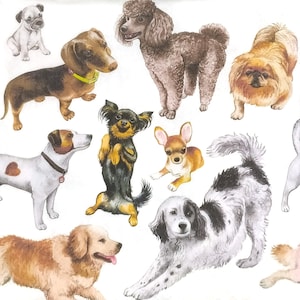P978# 3 pezzi di tovaglioli di carta singoli per decoupage, fazzoletti artigianali, tanti motivi di specie di cani su sfondo bianco