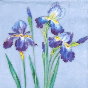 P899# 3 Pieces Of Single Paper Napkins for Decoupage, Craft Tissue, Blue Iris Flowers On Teal Background