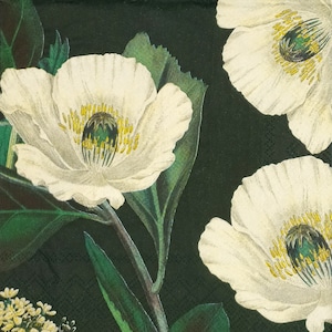 P933# 3 pezzi di tovaglioli di carta singoli per decoupage, fazzoletti artigianali, motivo floreale di papavero bianco su sfondo verde scuro