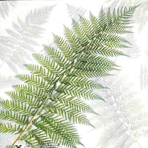 Q227# 3 pezzi di tovaglioli di carta riciclata singoli per decoupage, fazzoletti artigianali, aspetto naturale, motivo con foglie di felce verdi su filigrana