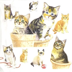 May include: A white fabric surface featuring a repeating illustration of various kittens. Some kittens are sitting inside tan flower pots, while others are depicted playing with red yarn or sitting independently in different poses.