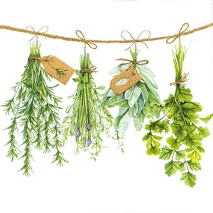 P813# 3 pezzi di tovaglioli di carta singoli per decoupage, fazzoletti artigianali, erbe aromatiche verdi, prezzemolo e rosmarino, mazzi appesi su una corda