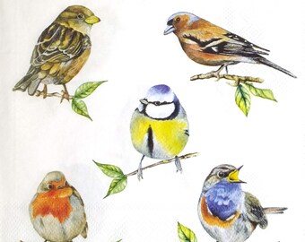 T497# 3 Pieces Of Single Paper Napkins for Decoupage, Craft Tissue, Various Birds Pattern on White Background