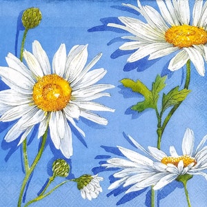 S729# 3 pezzi di tovaglioli di carta PICCOLI per decoupage, formato cocktail, fiori di margherite bianche su sfondo blu brillante.